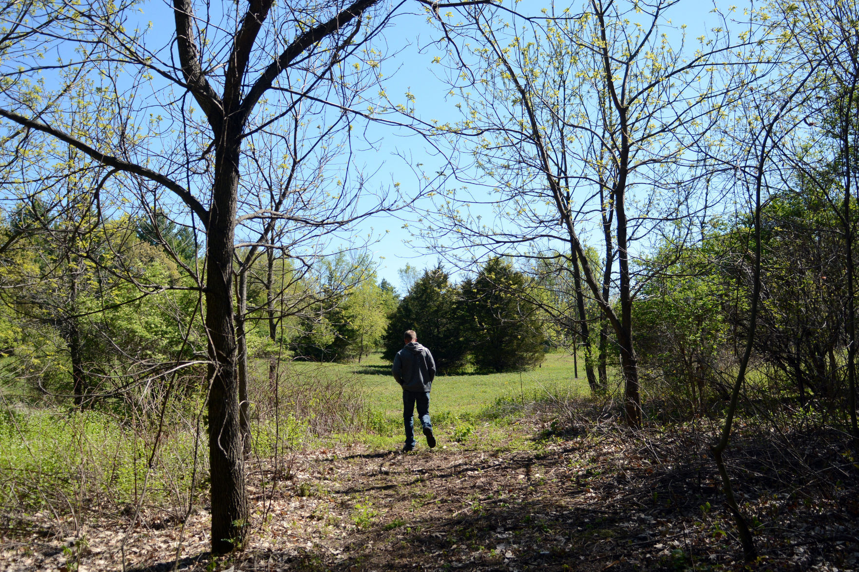 West Baraboo Village Forest